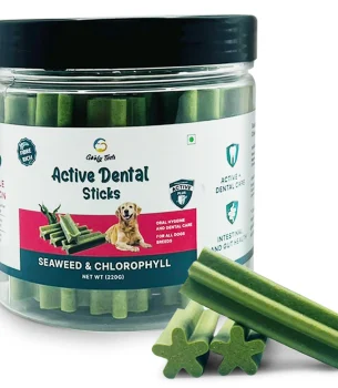 Vegetarian Dog Treats