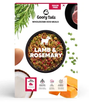food for dogs