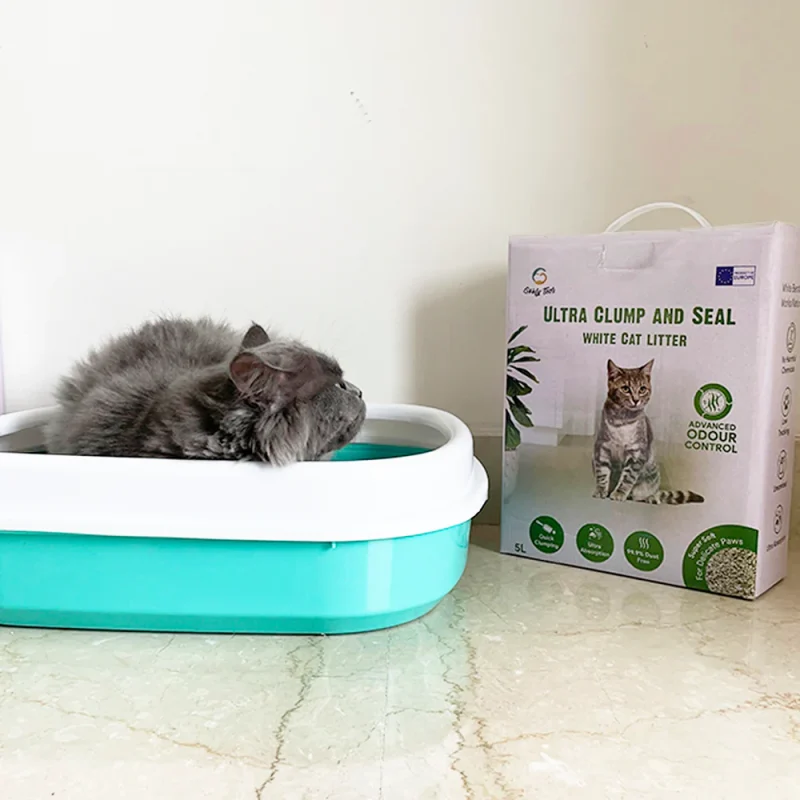 White Bentonite Clumping Cat Litter for Cats and Kittens-Unscented - Pack of 1 - Image 11