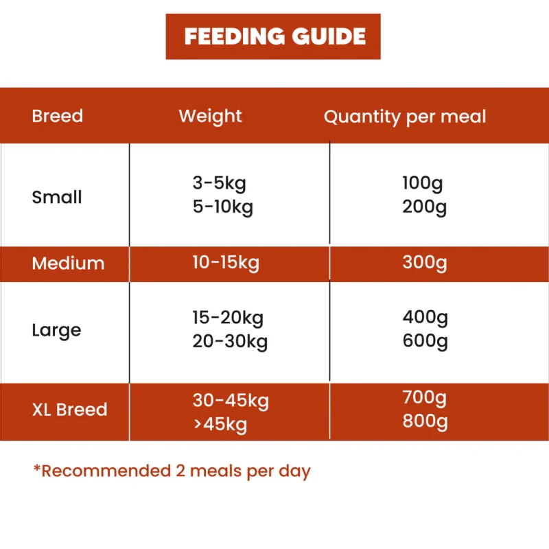 Lamb and Pumpkin Food for Dogs and Puppies - 100g / Pack 3 - Image 7