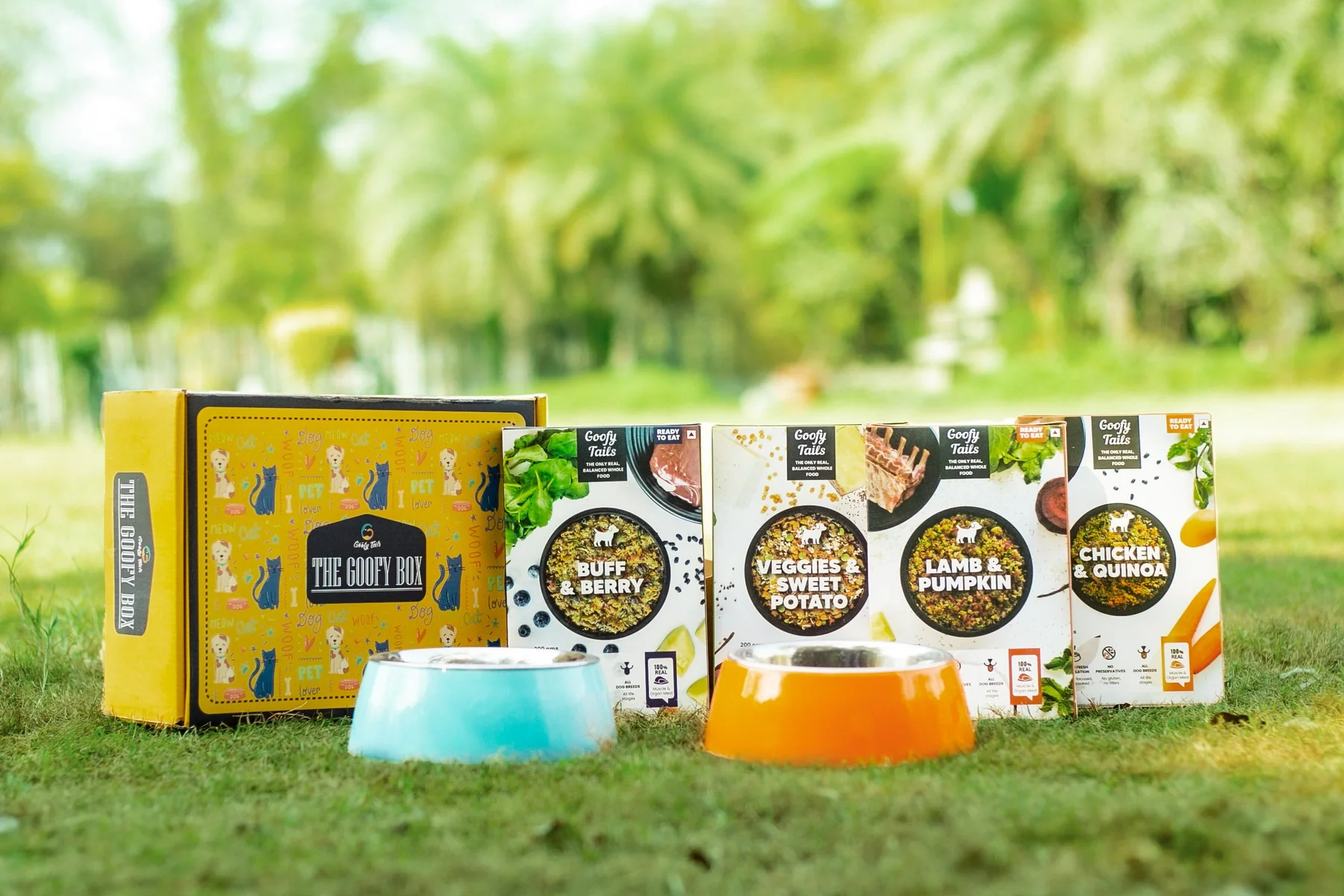 Buff and Berry Fresh Food for Dogs and Puppies - Pack 3 - Image 11