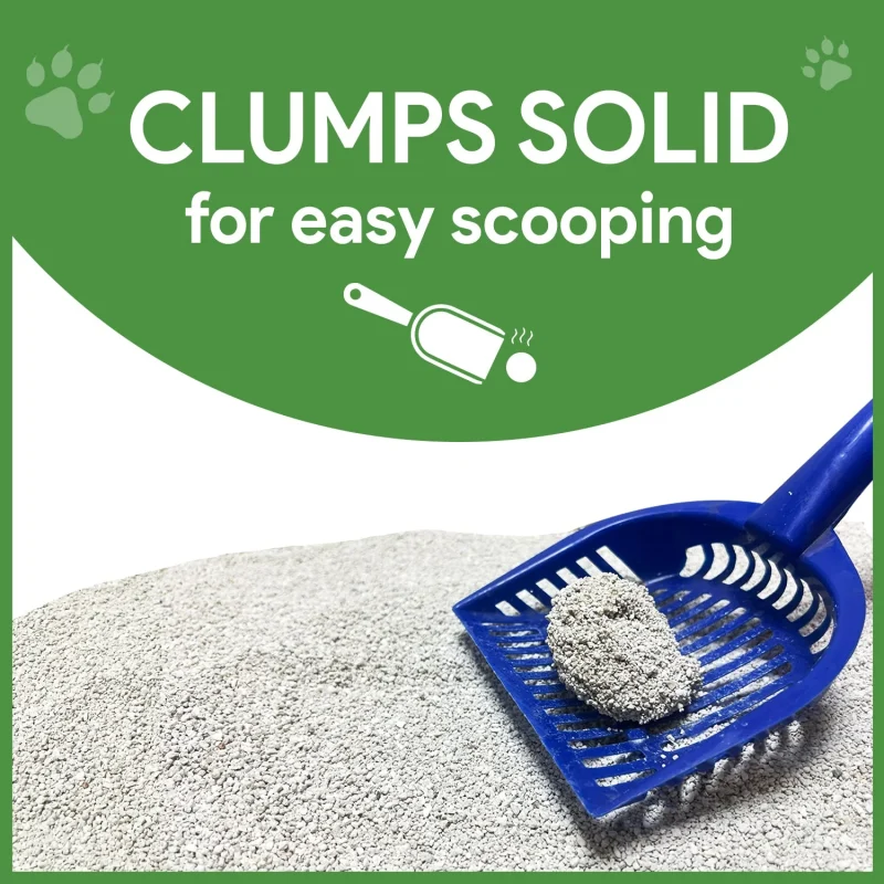 White Bentonite Clumping Cat Litter for Cats and Kittens-Unscented - Pack of 1 - Image 7
