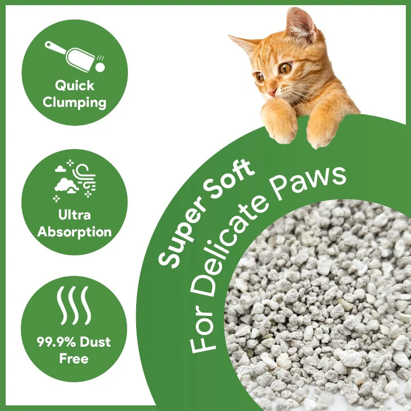 White Bentonite Clumping Cat Litter for Cats and Kittens-Unscented - Pack of 1 - Image 8