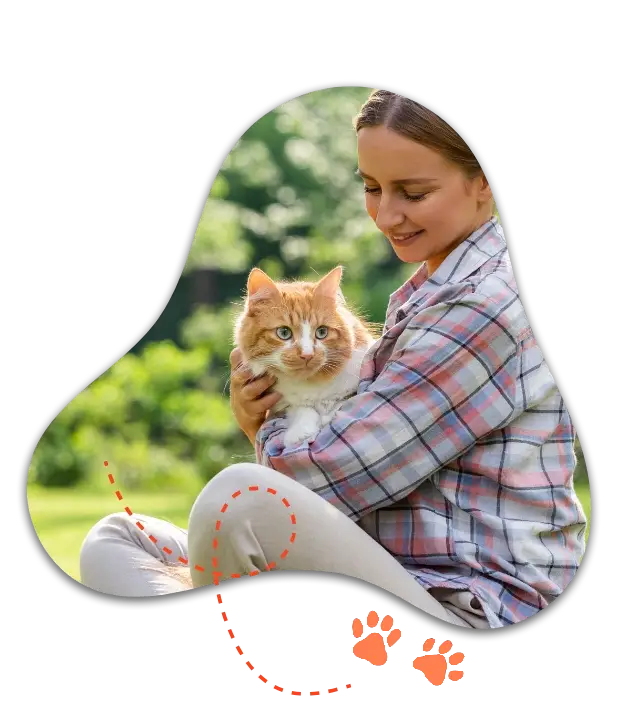 pet food