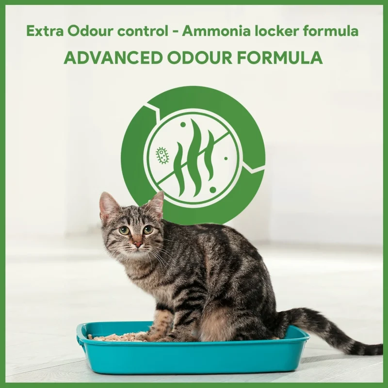 White Bentonite Unscented Cat Litters with Activated Litter Fresh - Image 7