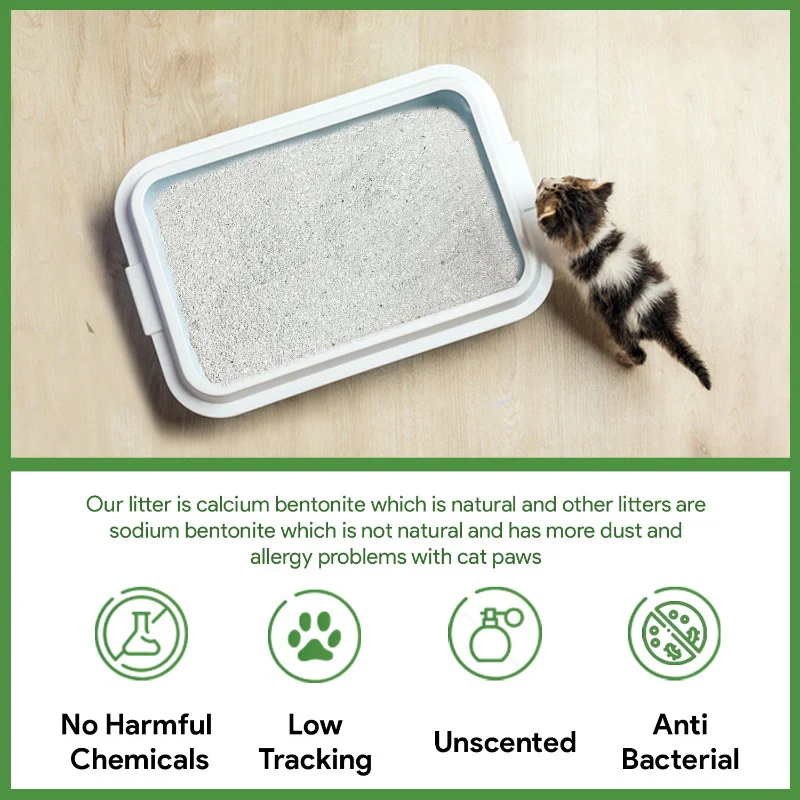 White Bentonite Clumping Cat Litter for Cats and Kittens-Unscented - Pack of 1 - Image 5