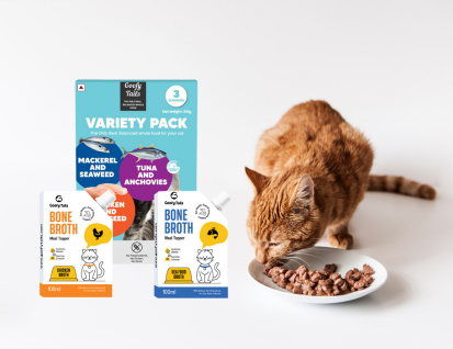 cat supplements
