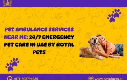 Pet Ambulance Services Near Me