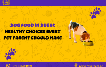 Dog Food In Dubai