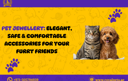 Pet Jewellery