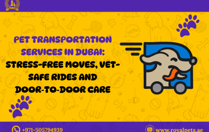Pet Transportation Services In Dubai
